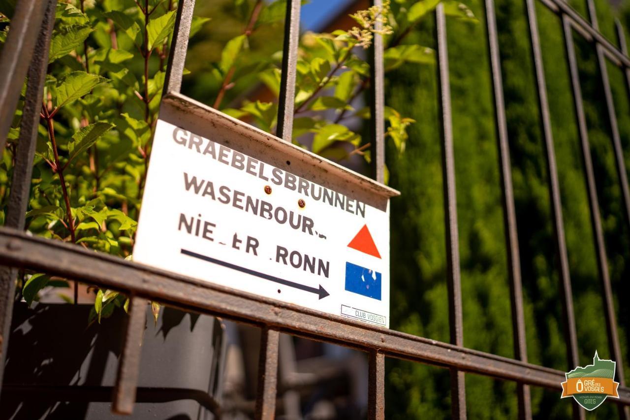 Gite O Gre Des Vosges 5 Etoiles Oberbronn, Vosges Du Nord Екстериор снимка