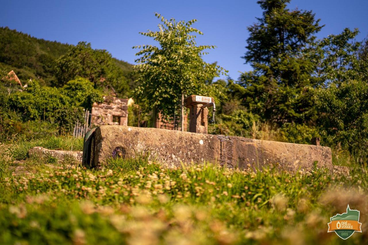 Gite O Gre Des Vosges 5 Etoiles Oberbronn, Vosges Du Nord Екстериор снимка