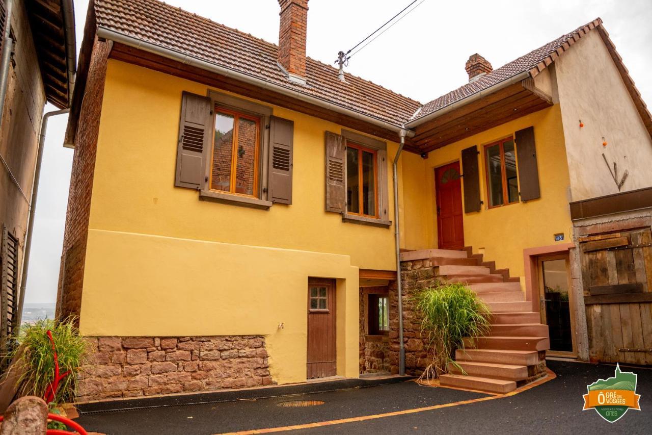 Gite O Gre Des Vosges 5 Etoiles Oberbronn, Vosges Du Nord Екстериор снимка
