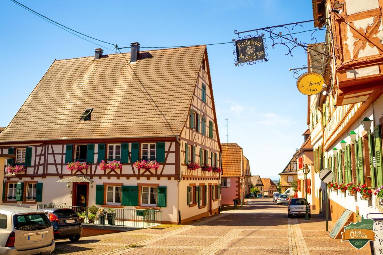 Gite O Gre Des Vosges 5 Etoiles Oberbronn, Vosges Du Nord Екстериор снимка