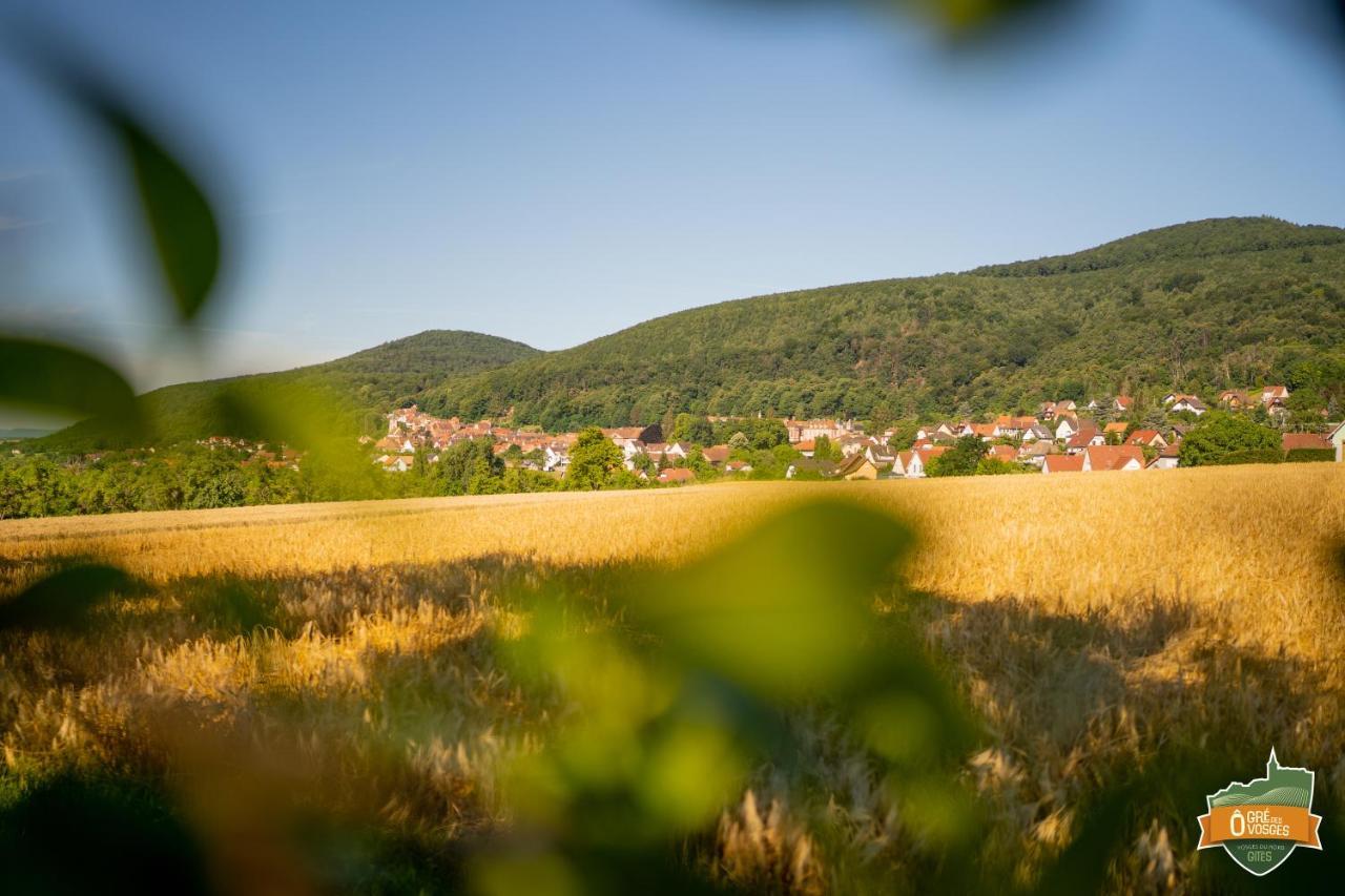 Gite O Gre Des Vosges 5 Etoiles Oberbronn, Vosges Du Nord Екстериор снимка