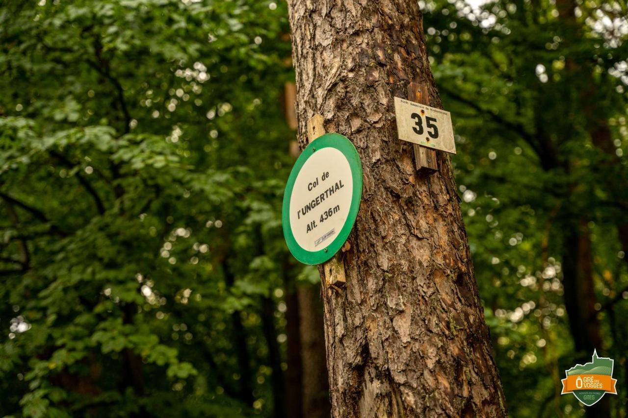 Gite O Gre Des Vosges 5 Etoiles Oberbronn, Vosges Du Nord Екстериор снимка